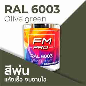 RAL1.5