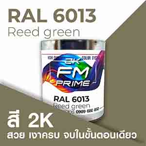 RAL1.5