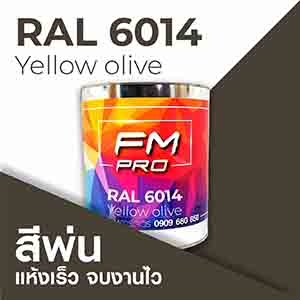 RAL1.5